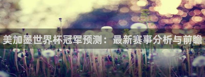 美加墨世界杯冠军预测：最新赛事分析与前瞻